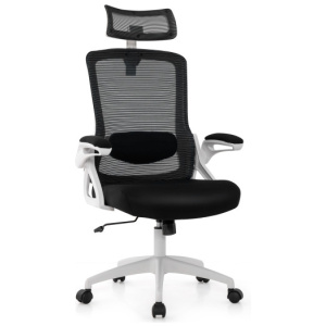 Adjustable Swivel Task Chair Ergonomic Office Chair with Adjustable Lumbar Support-White