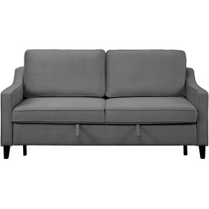 Dickinson Convertible Sofa
