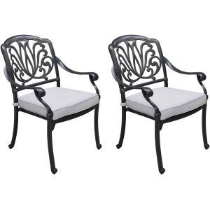 Geneva Outdoor Arm Chair, Set of 2