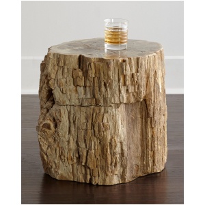 Petrified Wood Side Table