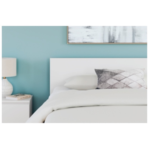 Onita Queen Panel Headboard, White