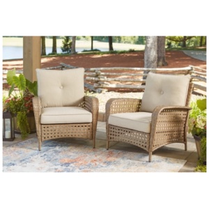 Braylee Outdoor Lounge Chair (Set of 2), Driftwood