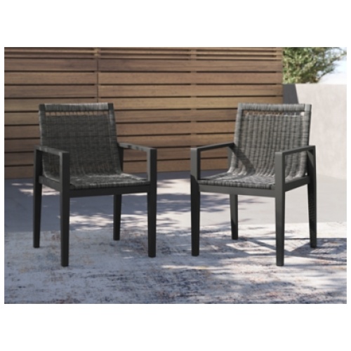 Maroska Outdoor Arm Chair (Set of 2), Gray/Black