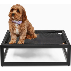 The Up Pup Dog Bed