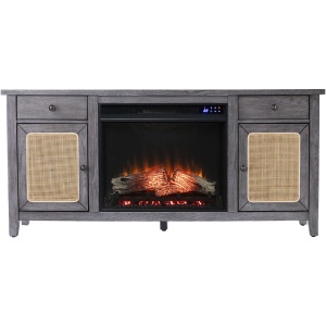 Raegan Elec Fireplace Media Console