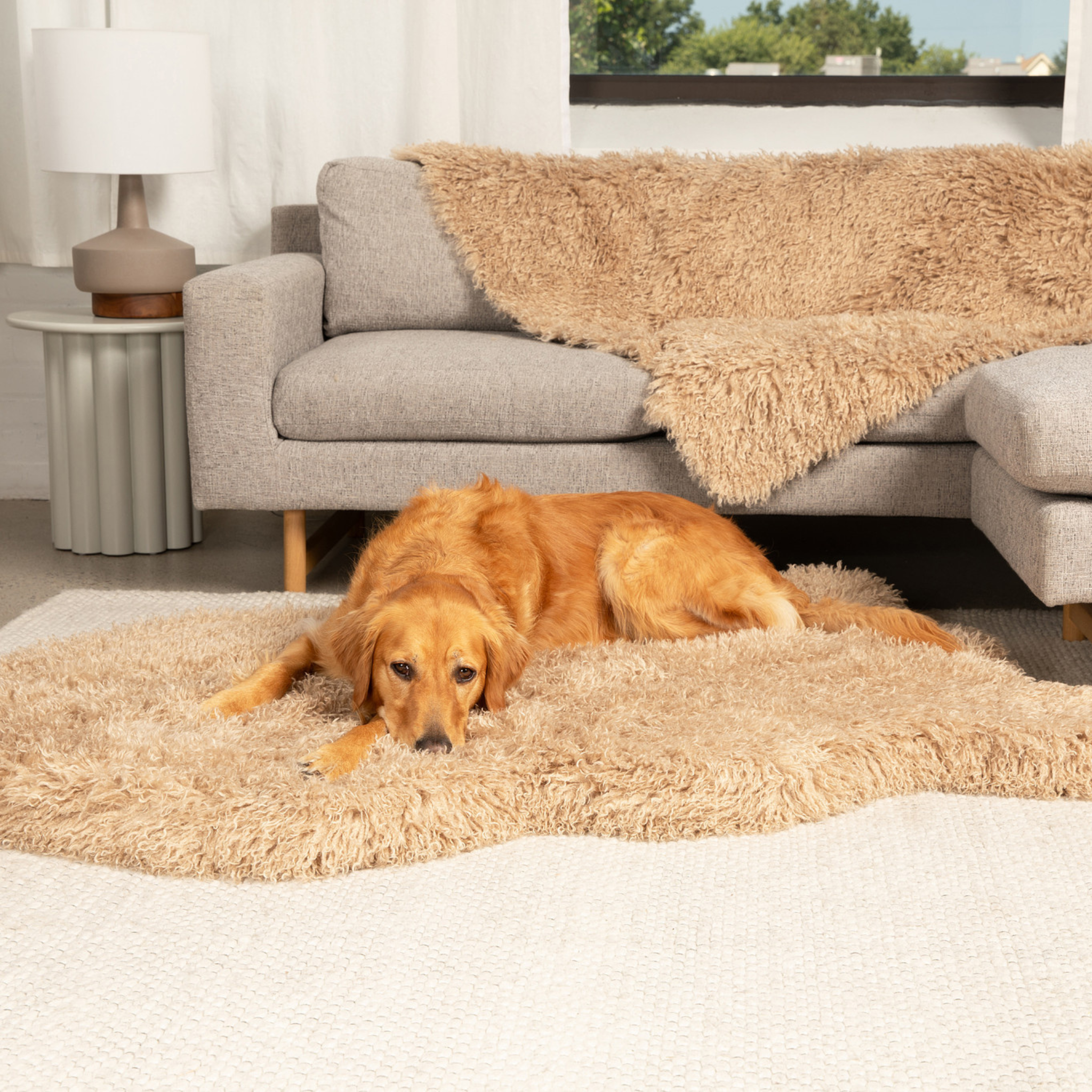PupRug Luxe Faux Fur Orthopedic Dog Bed - Plush Sheep Tan